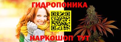 МДМА Новозыбков