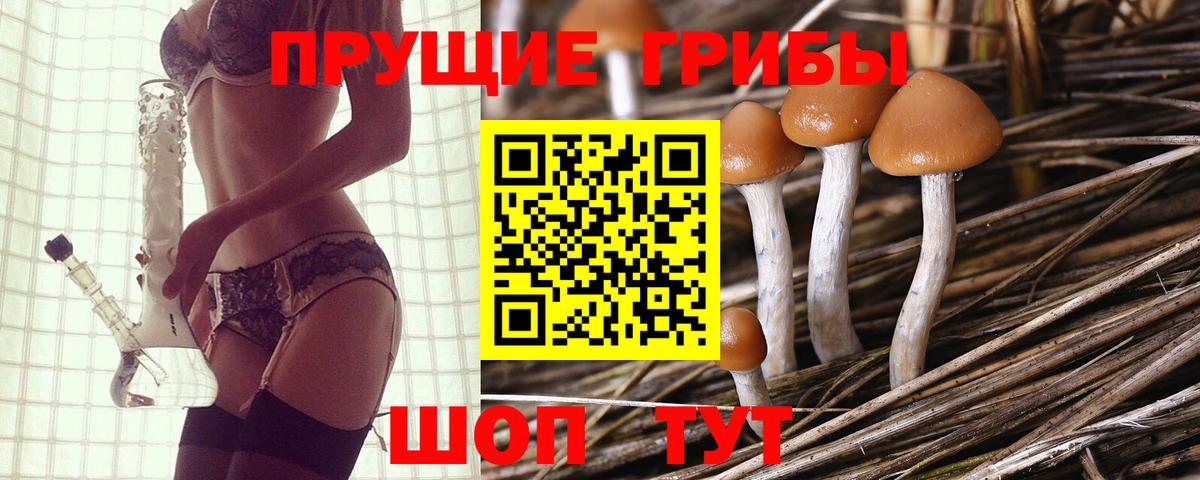 Псилоцибиновые грибы Magic Shrooms  Вход с VPN  Псилоцибиновые грибы мицелий  Ялуторовск 